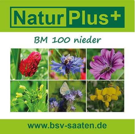 Gartenzubehr : Bienenweide BW 900 (niedrig, mehrjhrig)
